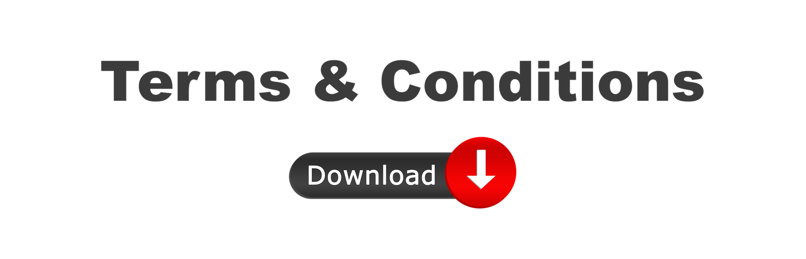 Download Terms and Conditions